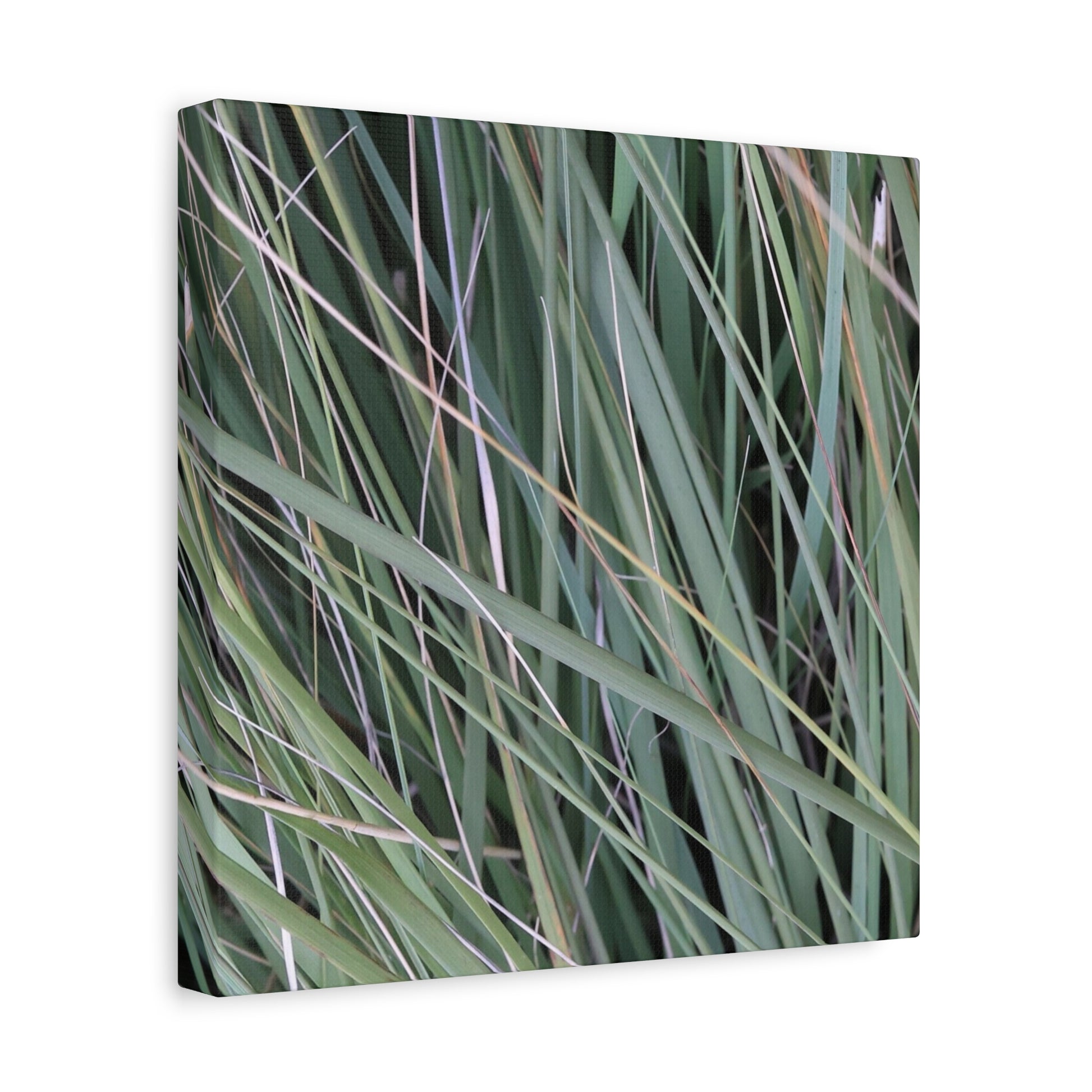 Whispers of Green - Unique Frameless Canvas Wall Art - Art By Earth