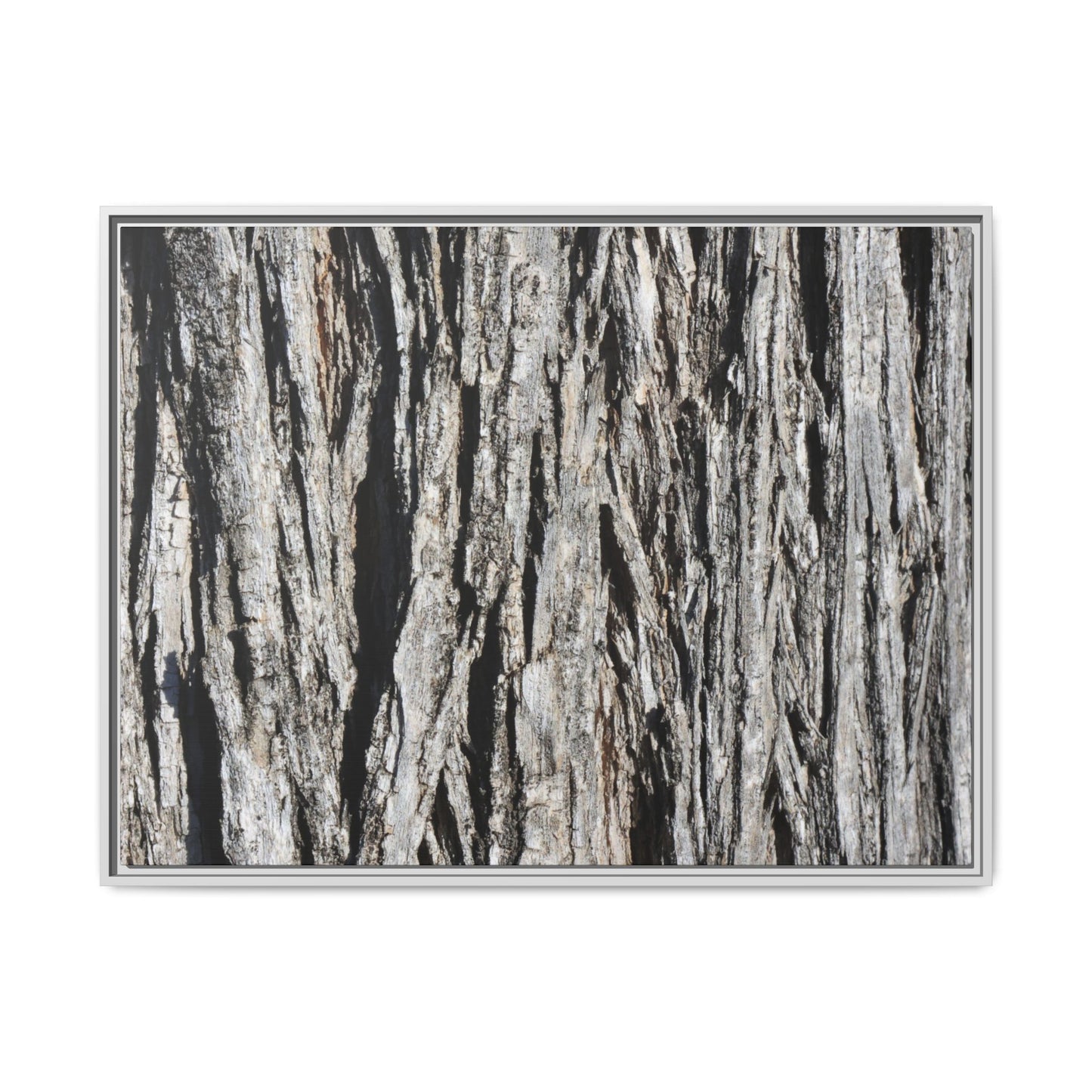 Nature's Abstract - Unique Stretched Canvas Wall Art - Art By Earth