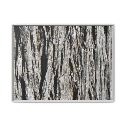 Nature's Abstract - Unique Stretched Canvas Wall Art - Art By Earth