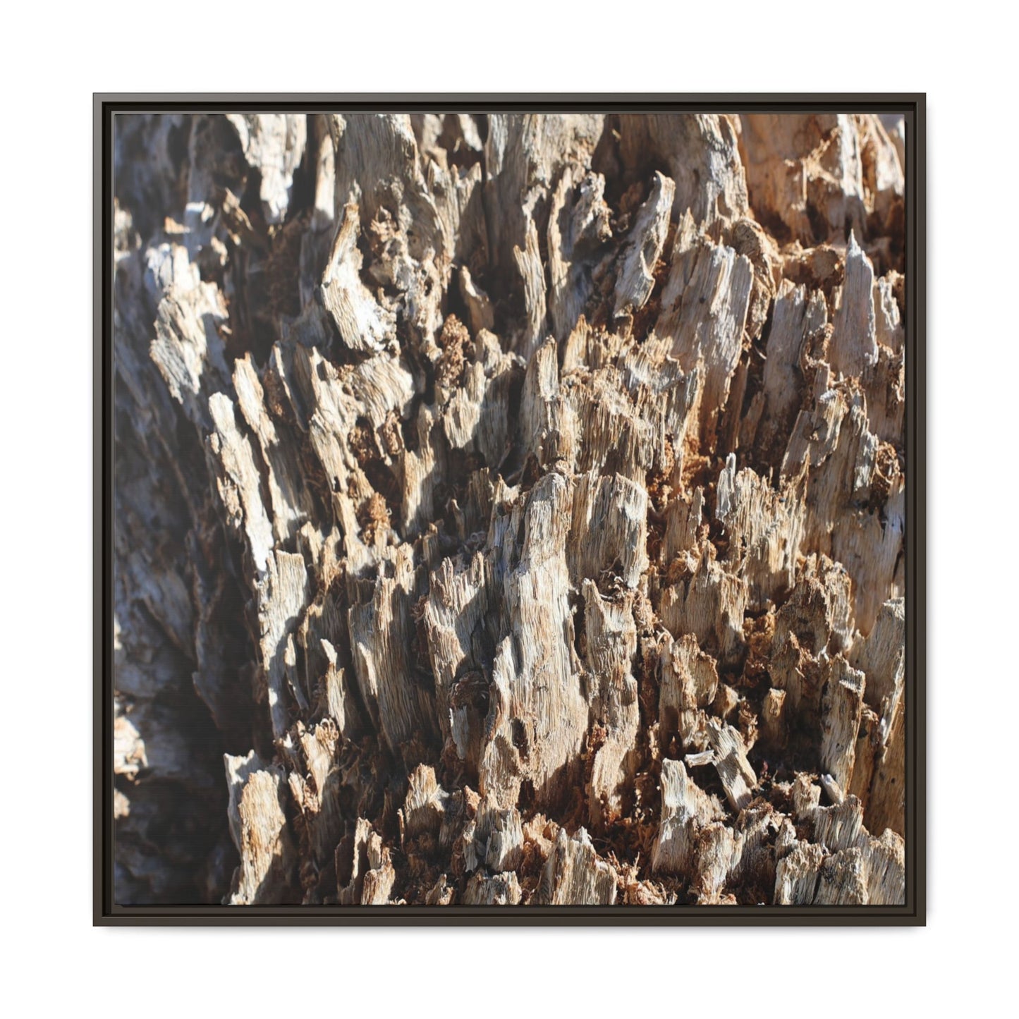 Fractal Fragments - Unique Stretched Canvas Wall Art