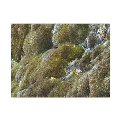 Verdant Stone Symphony - Unique Frameless Canvas Wall Art