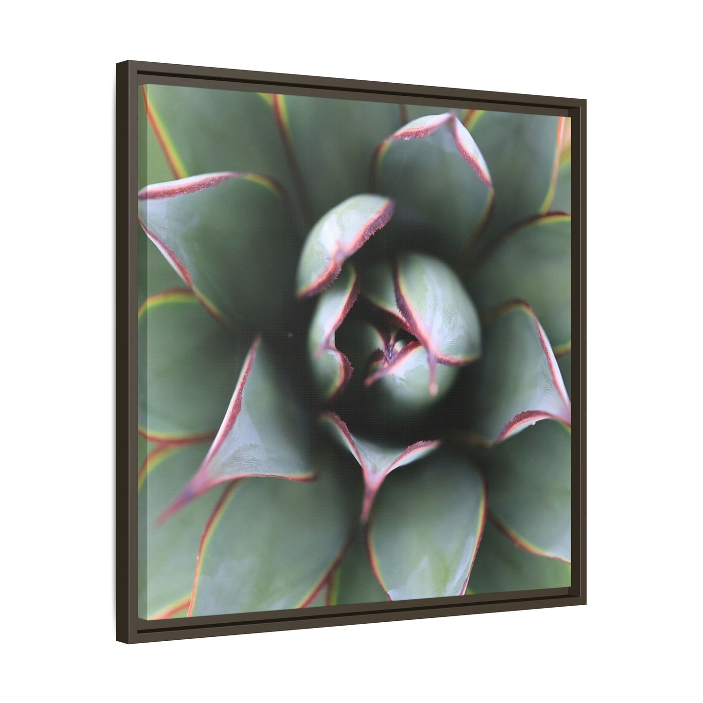 Spiky Elegance - Unique Stretched Canvas Wall Art - Art By Earth