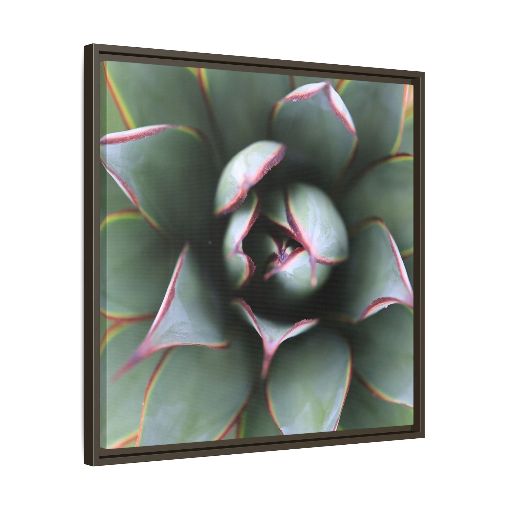 Spiky Elegance - Unique Stretched Canvas Wall Art - Art By Earth