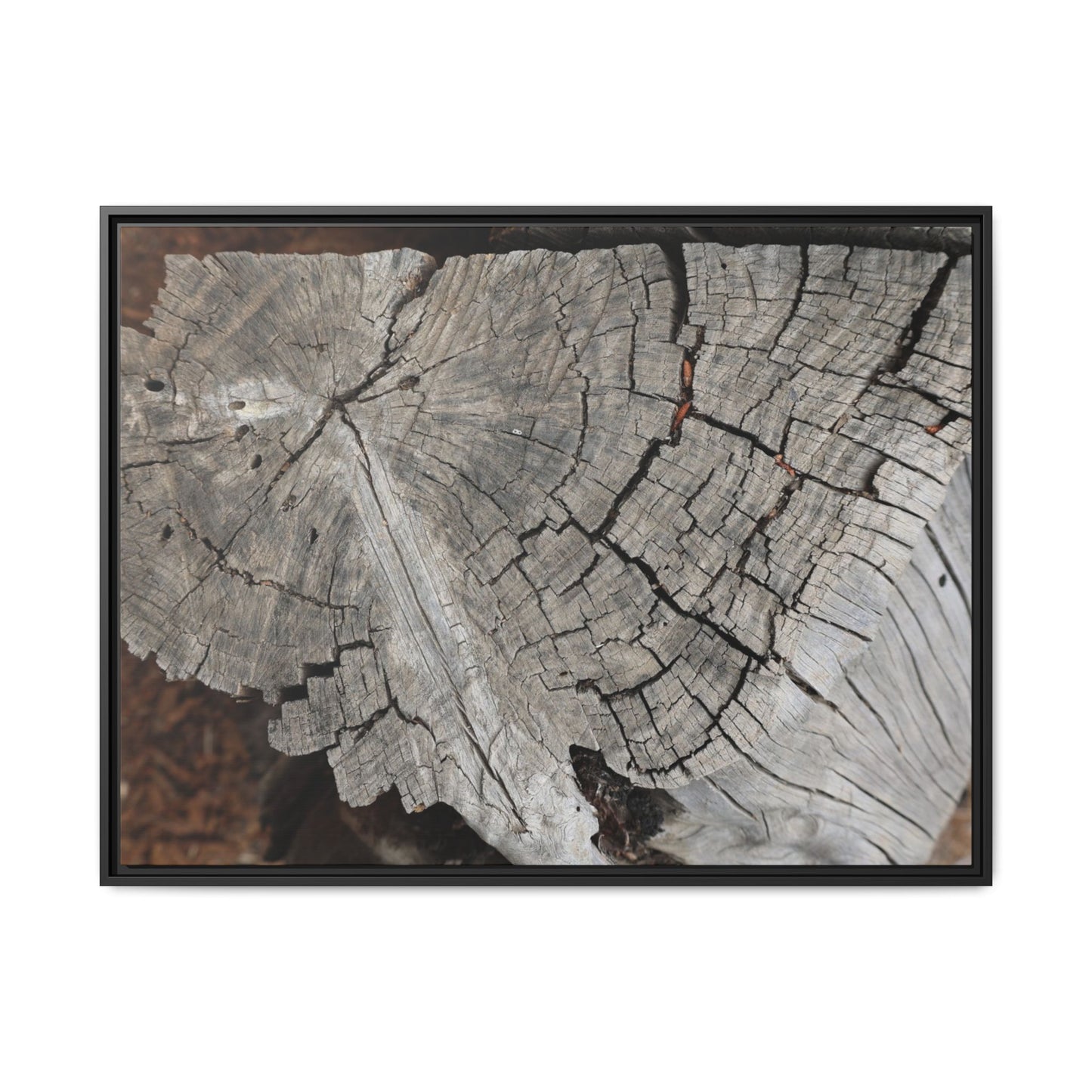 Time's Signature - Unique Stretched Canvas Wall Art - Art By Earth