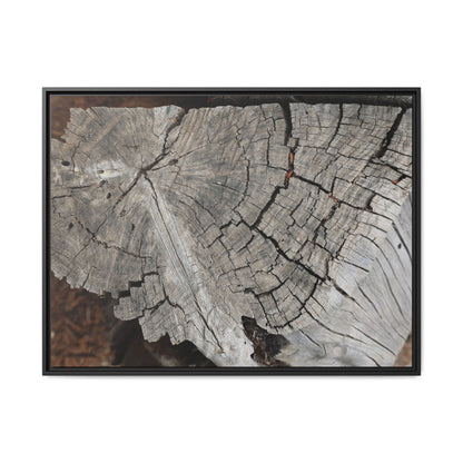 Time's Signature - Unique Stretched Canvas Wall Art - Art By Earth