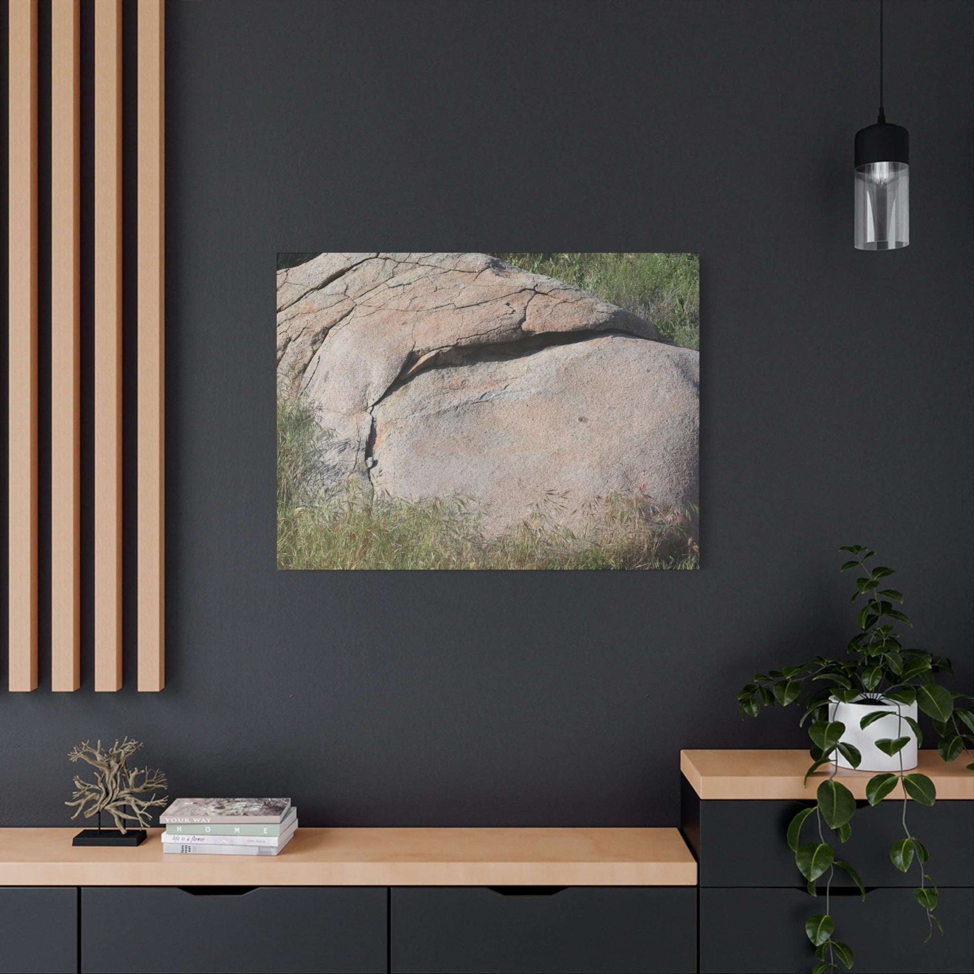 Granite Boulder in Desert Scrub - Unique Frameless Canvas Wall Art - Art By Earth
