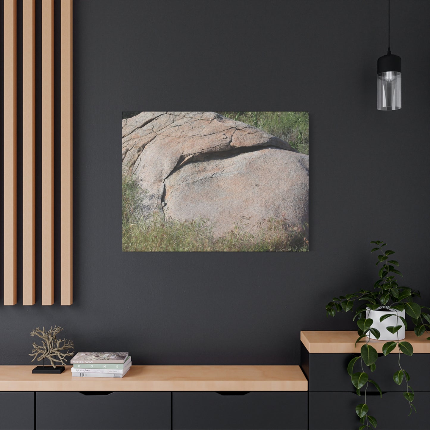 Granite Boulder in Desert Scrub - Unique Frameless Canvas Wall Art - Art By Earth