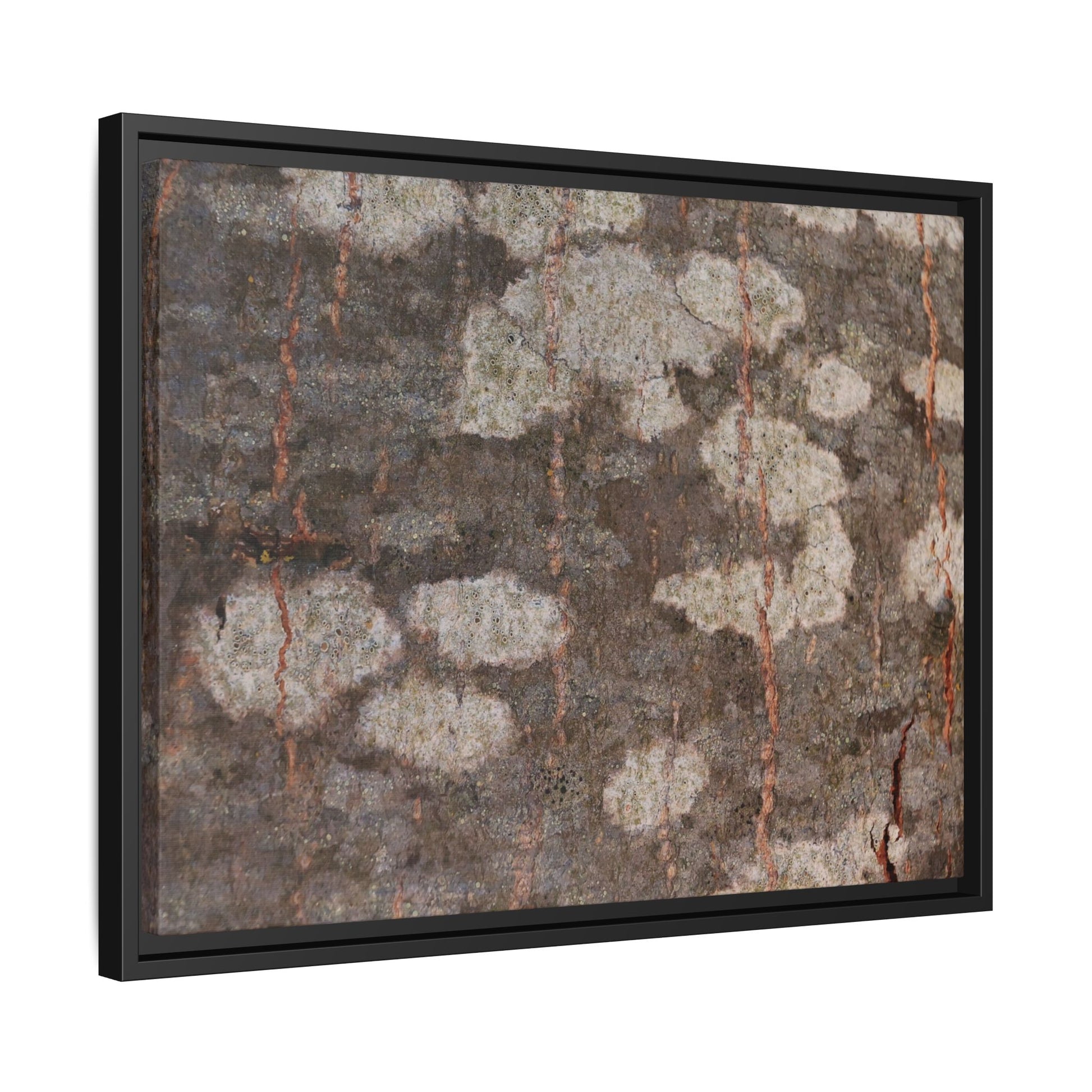 Lichen's Legacy - Unique Stretched Canvas Wall Art - Art By Earth