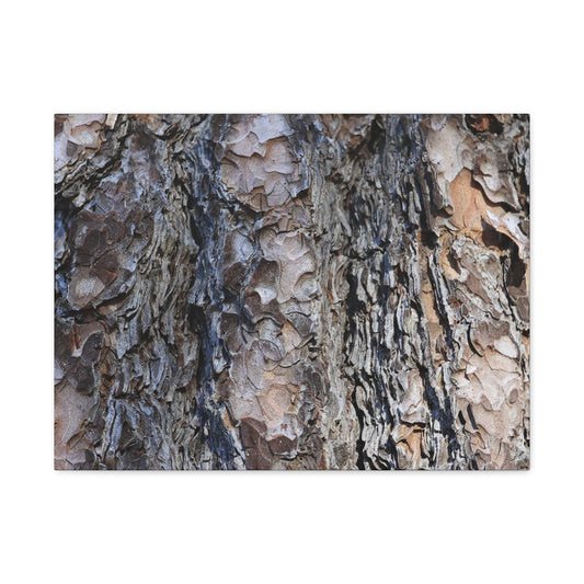 Bark's Rugged Symphony - Unique Frameless Canvas Wall Art - Art By Earth