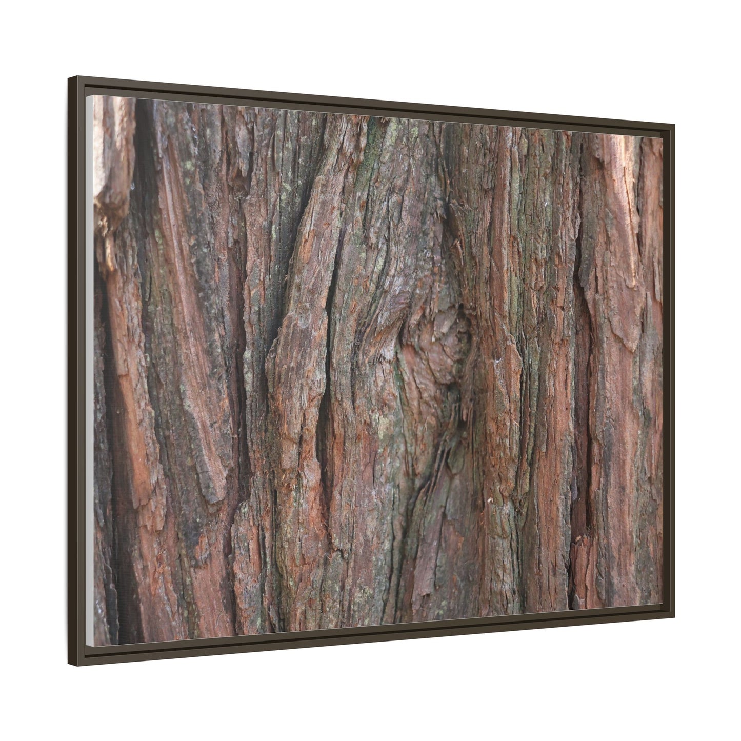 Rugged Textures - Unique Stretched Canvas Wall Art - Art By Earth