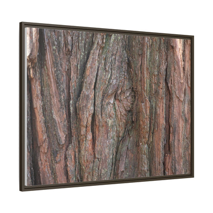 Rugged Textures - Unique Stretched Canvas Wall Art - Art By Earth