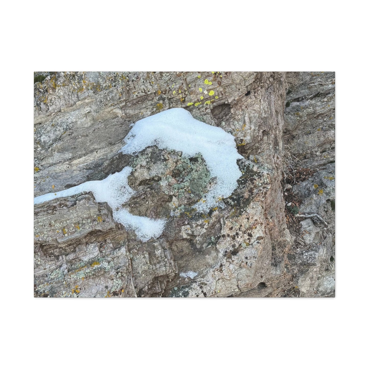 Snow on Stone - Unique Frameless Canvas Wall Art