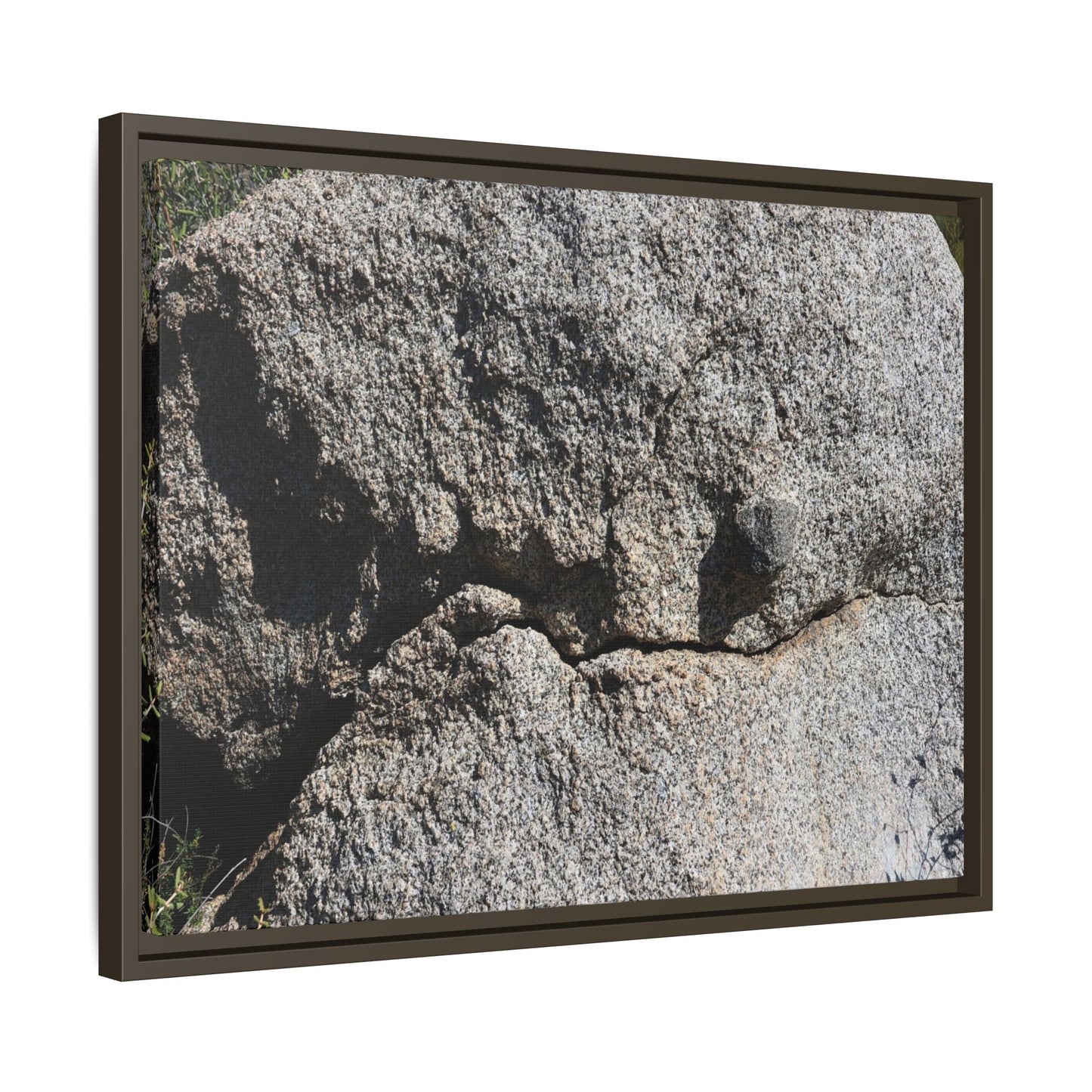 Stone Skull in Desert - Unique Stretched Canvas Wall Art