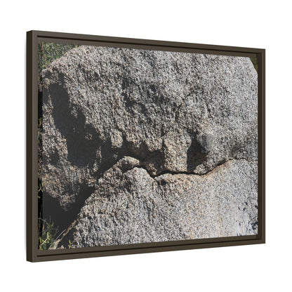 Stone Skull in Desert - Unique Stretched Canvas Wall Art