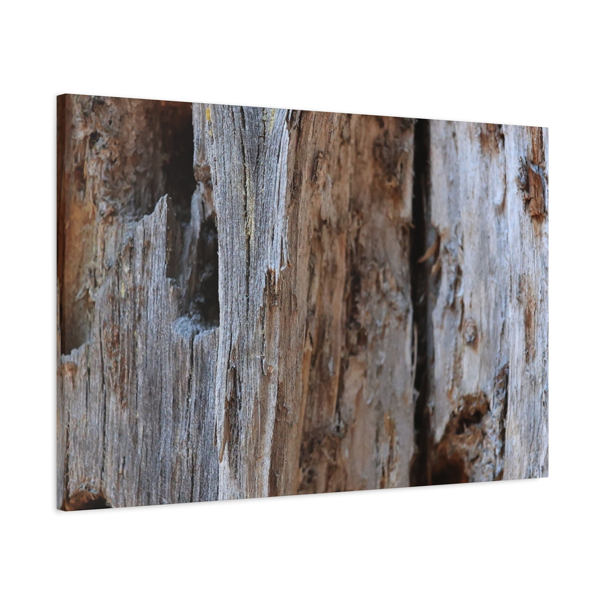 Timber Tapestry - Unique Frameless Canvas Wall Art - Art By Earth