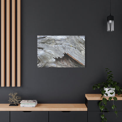 Whispers of Ancient Wood - Unique Frameless Canvas Wall Art - Art By Earth