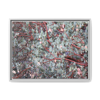 Whispers of Sage - Unique Stretched Canvas Wall Art - Art By Earth