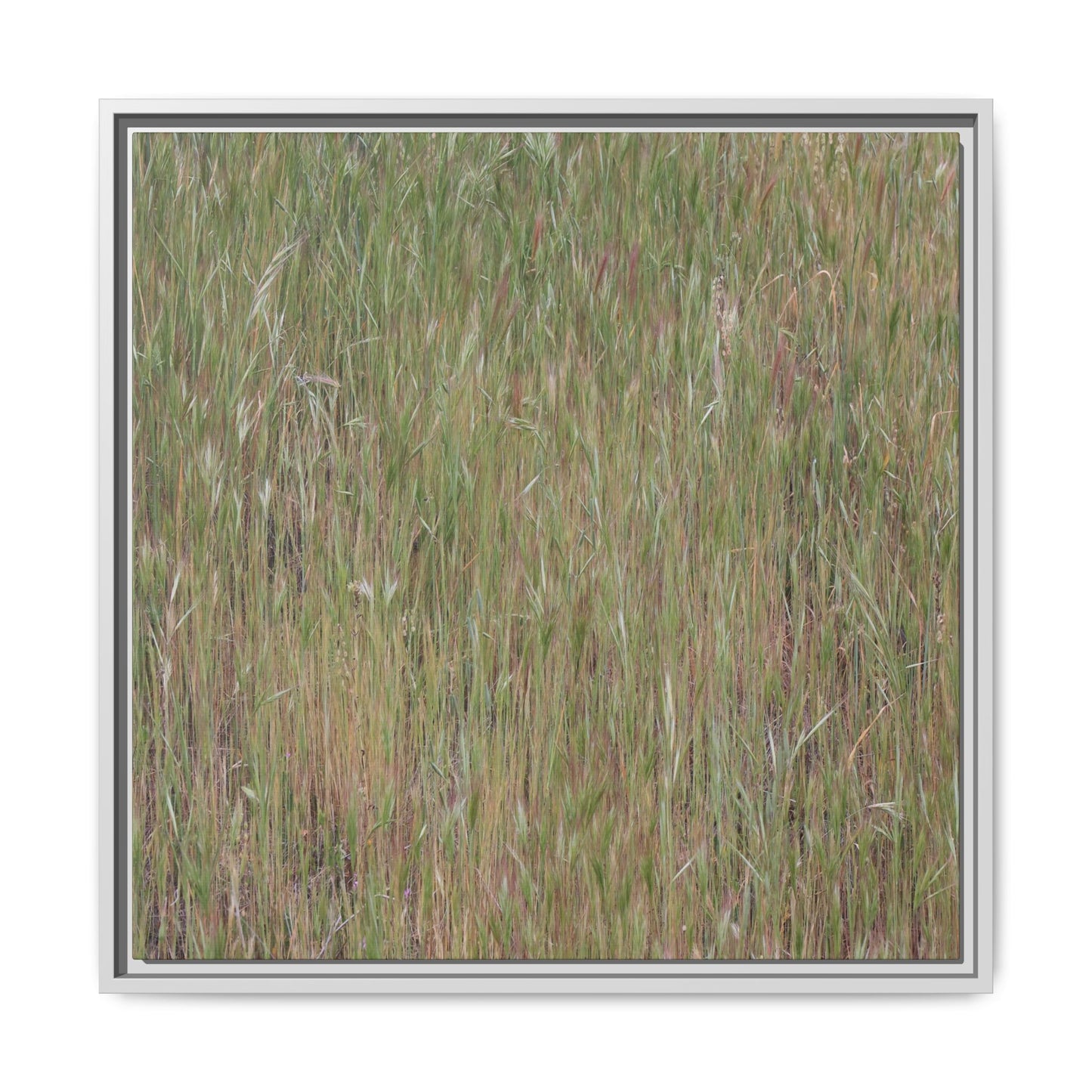 Field of Dreams - Unique Stretched Canvas Wall Art - Art By Earth