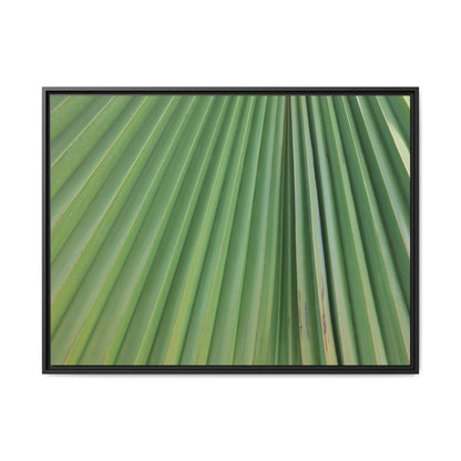 Emerald Rays - Unique Stretched Canvas Wall Art - Art By Earth