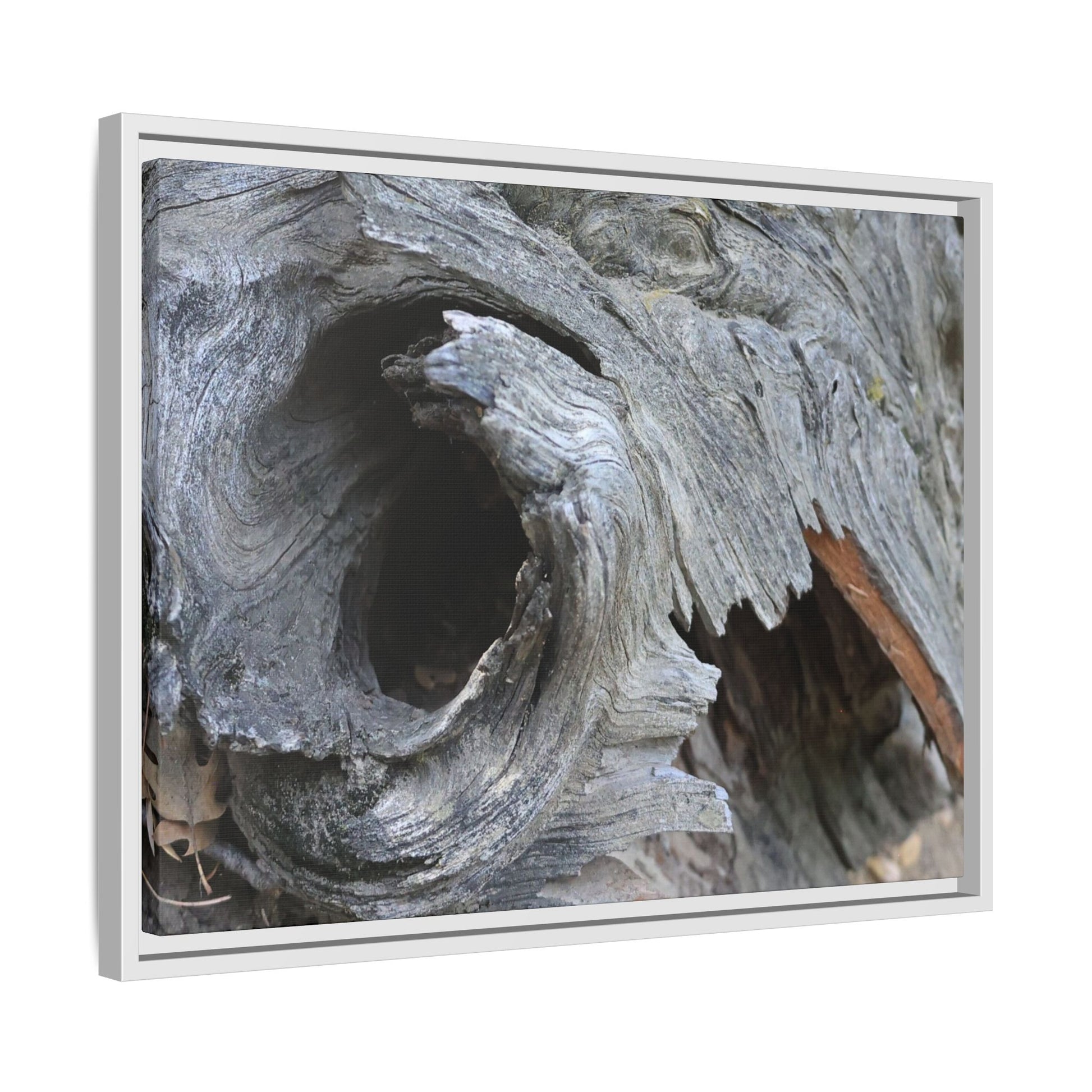 Bark's Labyrinth - Unique Stretched Canvas Wall Art - Art By Earth