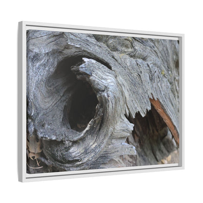 Bark's Labyrinth - Unique Stretched Canvas Wall Art - Art By Earth