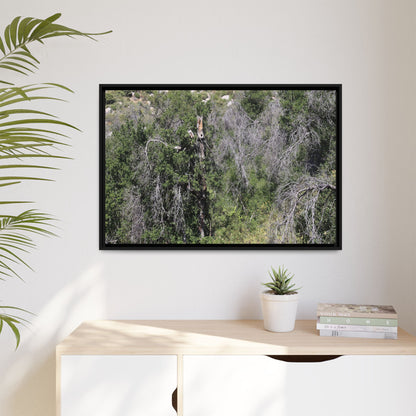 Forest Decline - Unique Stretched Canvas Wall Art