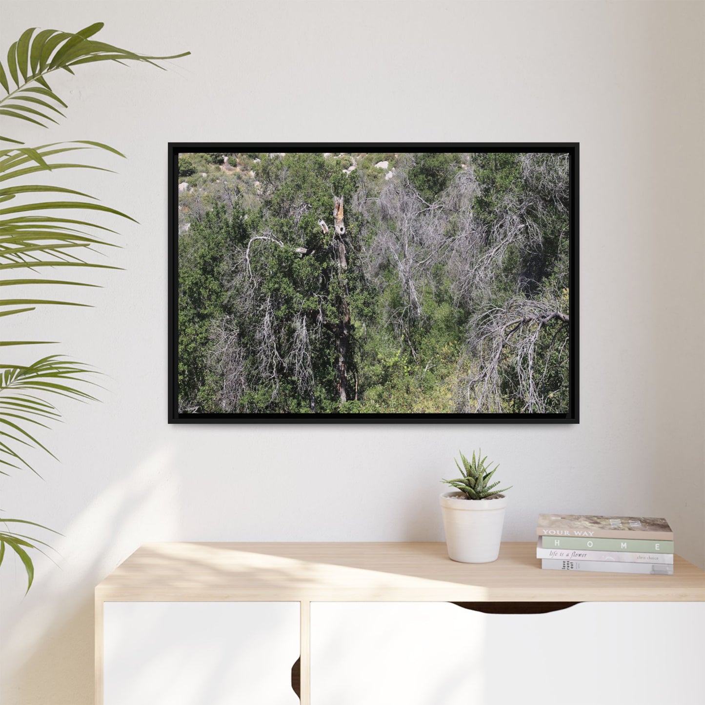 Forest Decline - Unique Stretched Canvas Wall Art