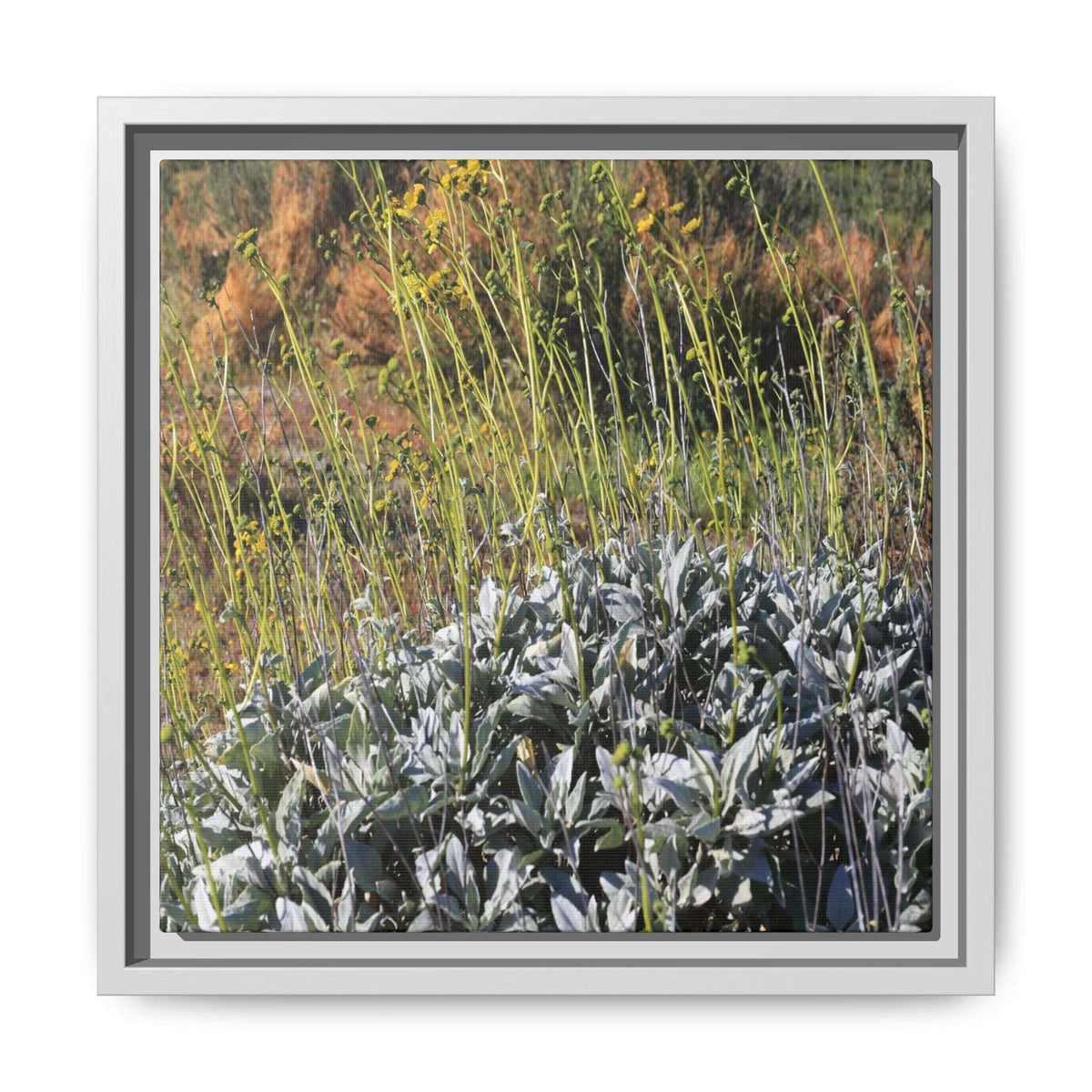 Arid Landscape with Yellow Flowers - Unique Stretched Canvas Wall Art - Art By Earth