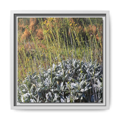 Arid Landscape with Yellow Flowers - Unique Stretched Canvas Wall Art - Art By Earth