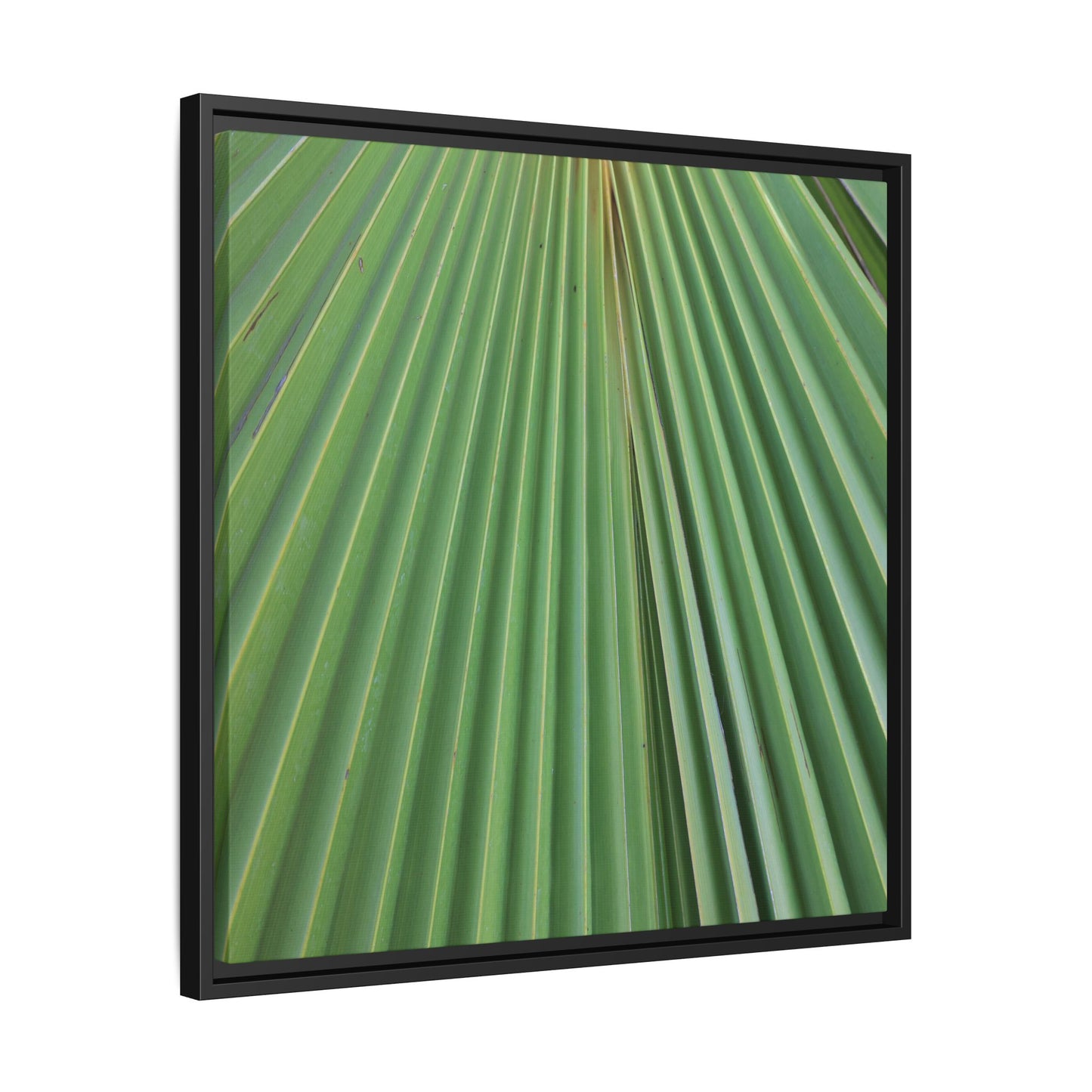 Verdant Veins - Unique Stretched Canvas Wall Art - Art By Earth