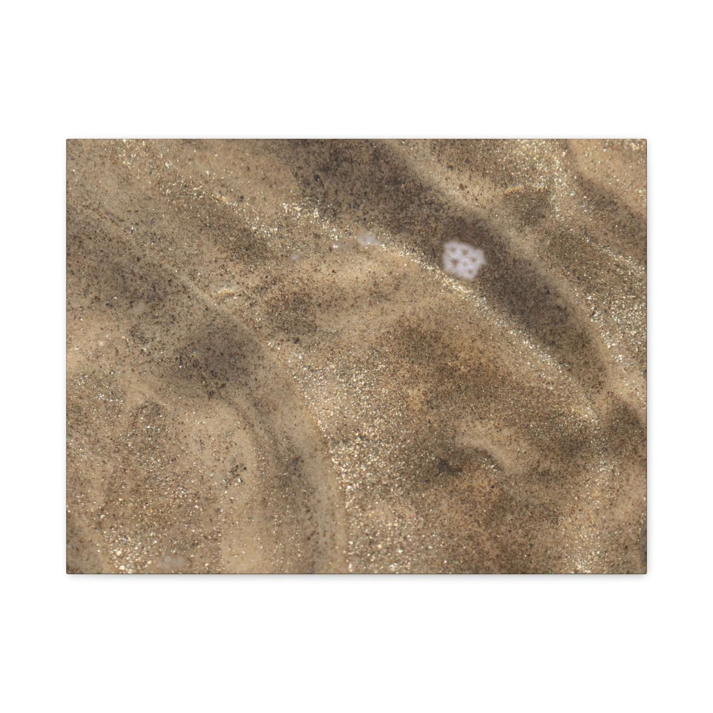 Sandy Shore Impressions - Unique Frameless Canvas Wall Art - Art By Earth