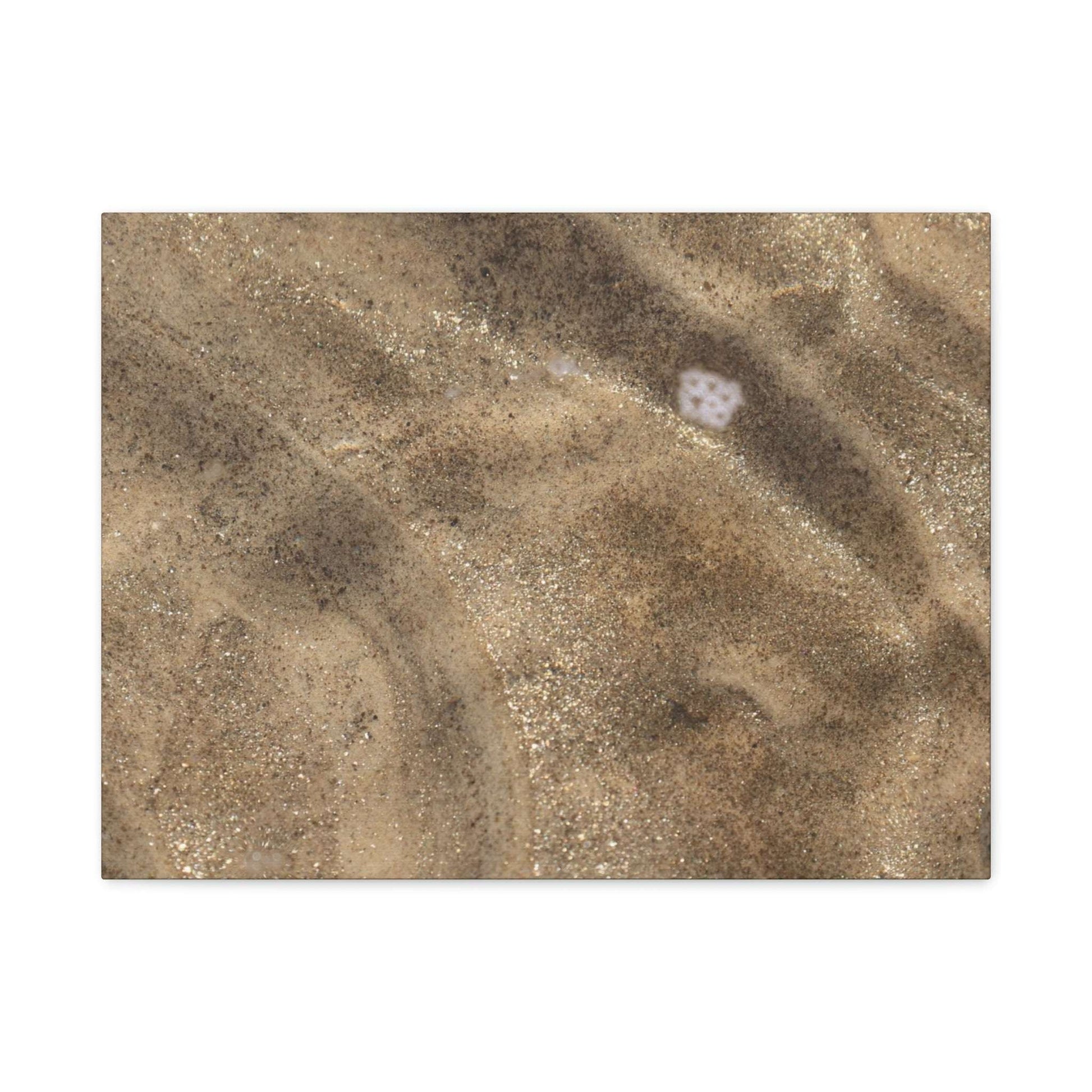 Sandy Shore Impressions - Unique Frameless Canvas Wall Art - Art By Earth