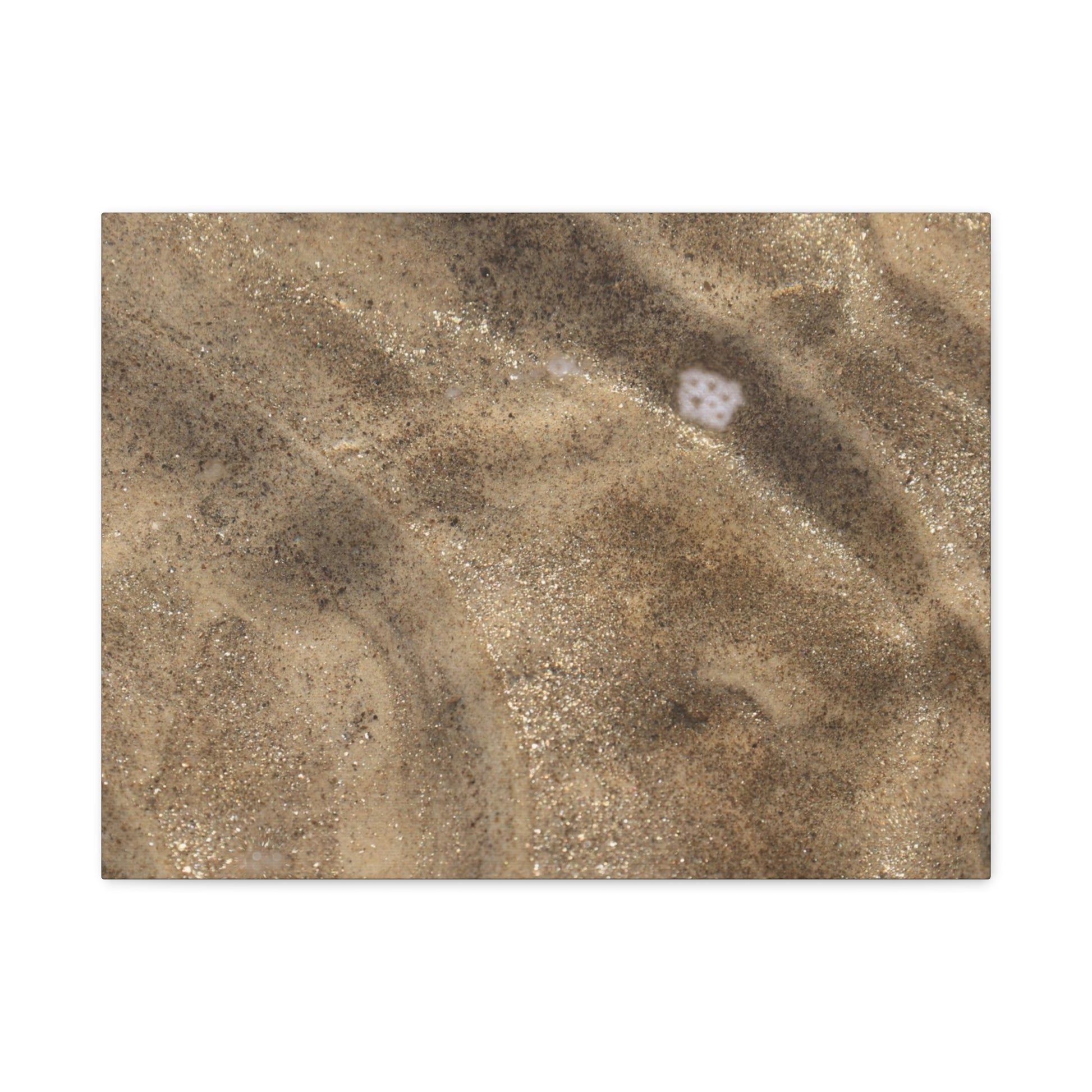 Sandy Shore Impressions - Unique Frameless Canvas Wall Art - Art By Earth