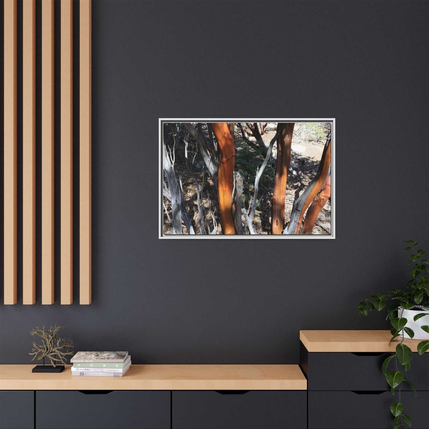 Eucalyptus Grove - Unique Stretched Canvas Wall Art