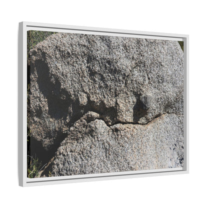 Stone Skull in Desert - Unique Stretched Canvas Wall Art