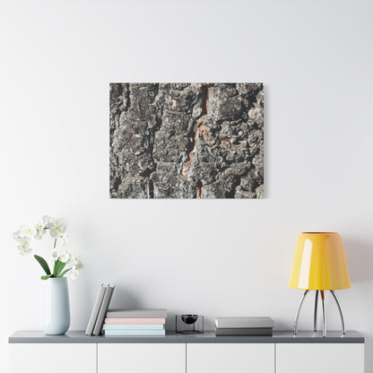 Arboreal Skin - Unique Frameless Canvas Wall Art - Art By Earth