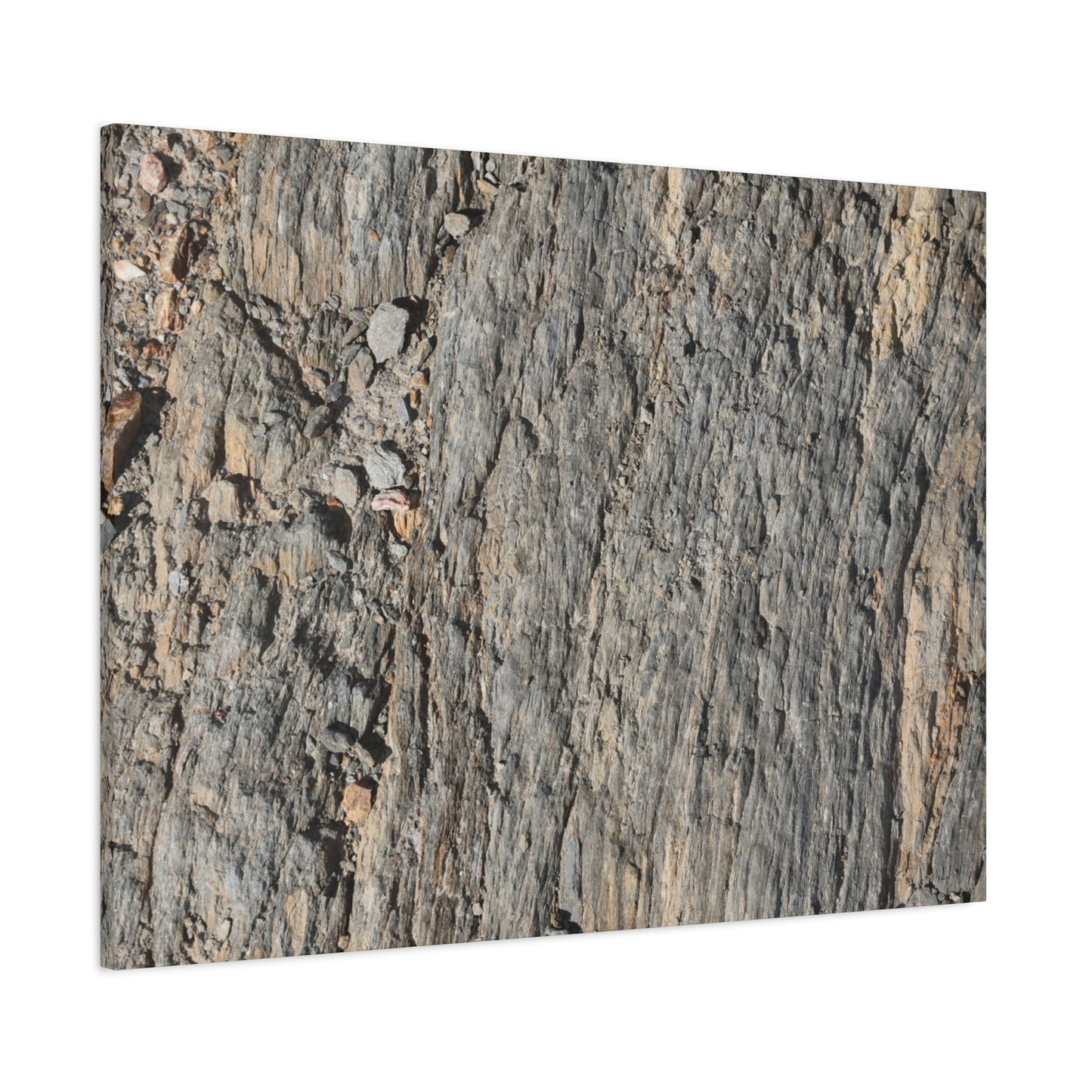 Bark Echoes - Unique Frameless Canvas Wall Art - Art By Earth