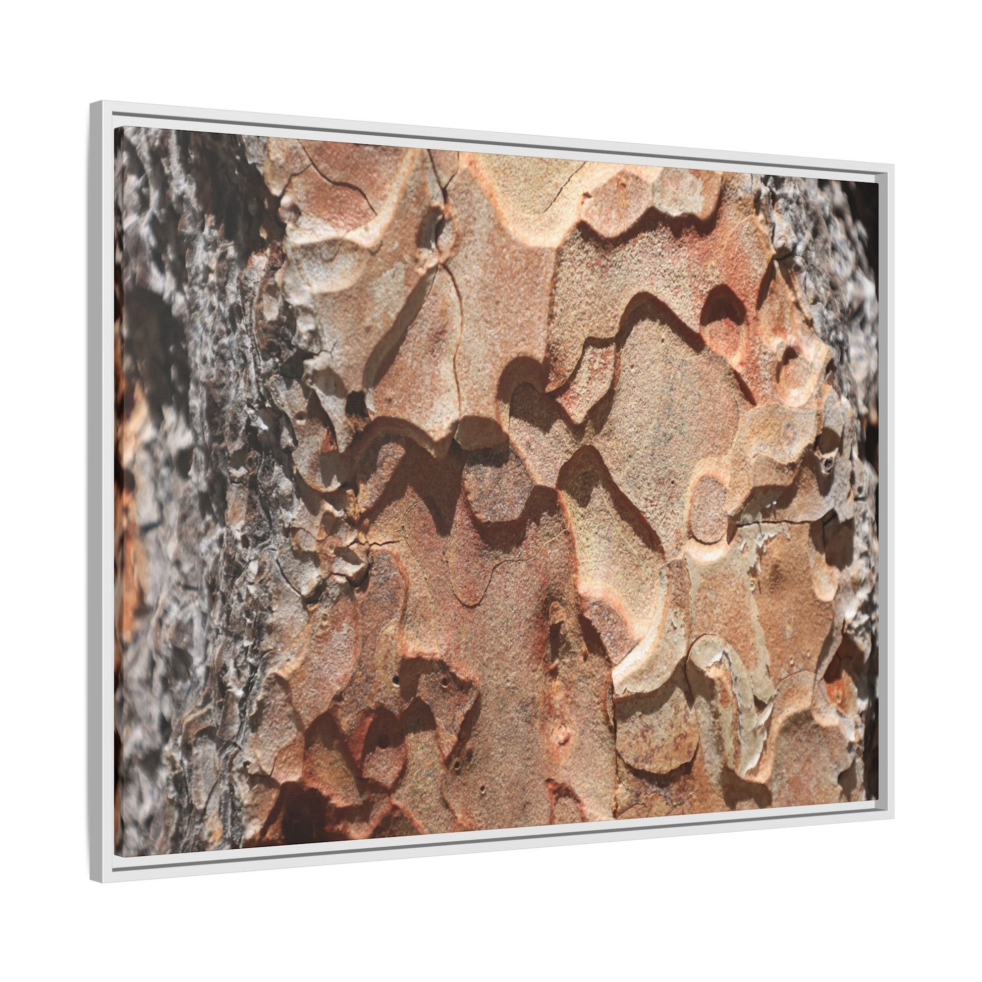 Rust and Stone - Unique Stretched Canvas Wall Art - Art By Earth