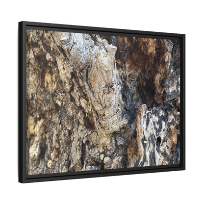 Ancient Tree Texture - Unique Stretched Canvas Wall Art - Art By Earth