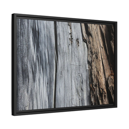 Wood's Lament - Unique Stretched Canvas Wall Art - Art By Earth