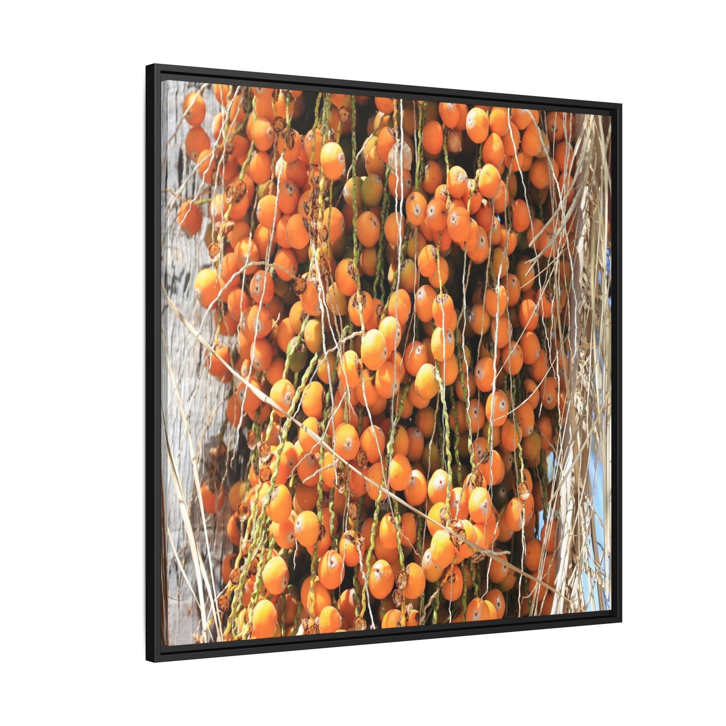 Clusters of Sunlight - Unique Canvas Wall Art - Art By Earth