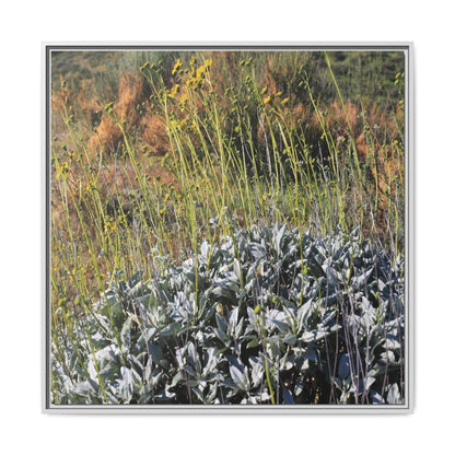 Arid Landscape with Yellow Flowers - Unique Stretched Canvas Wall Art - Art By Earth