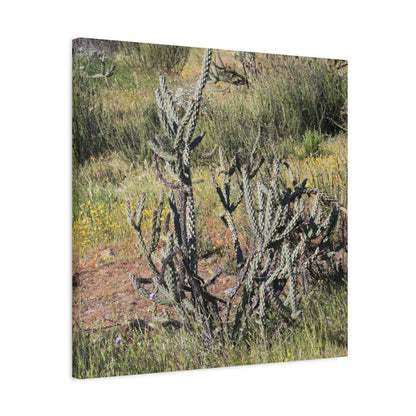 Desert Bloom in Shadow - Unique Frameless Canvas Wall Art - Art By Earth