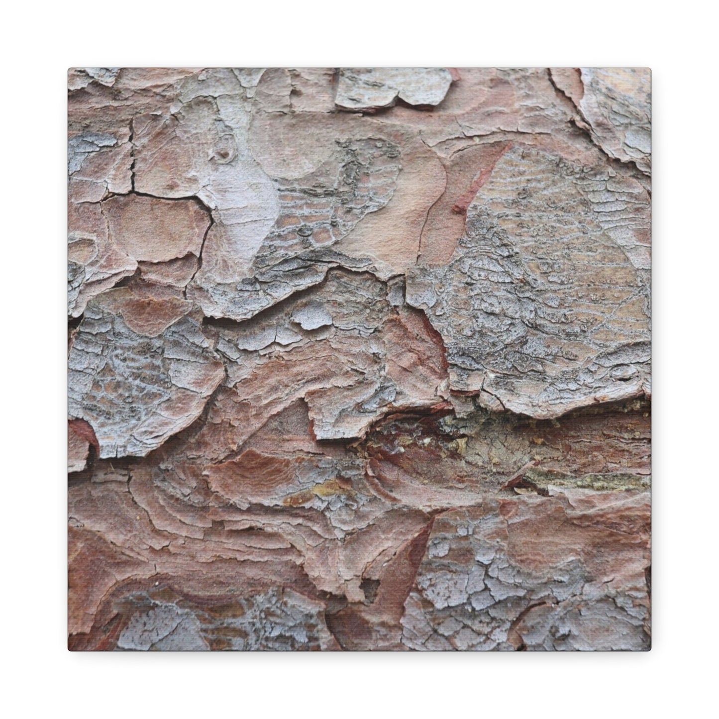 Textural Landscape - Unique Frameless Canvas Wall Art - Art By Earth