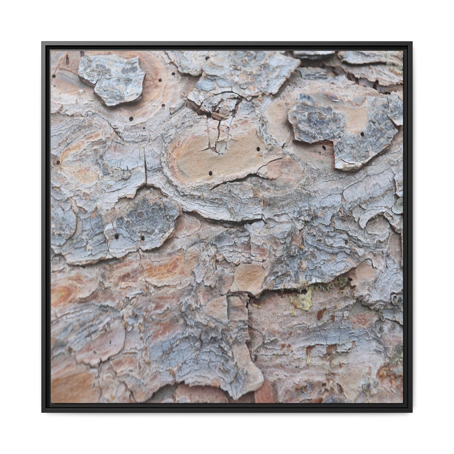 Peeling Memories - Unique Stretched Canvas Wall Art - Art By Earth