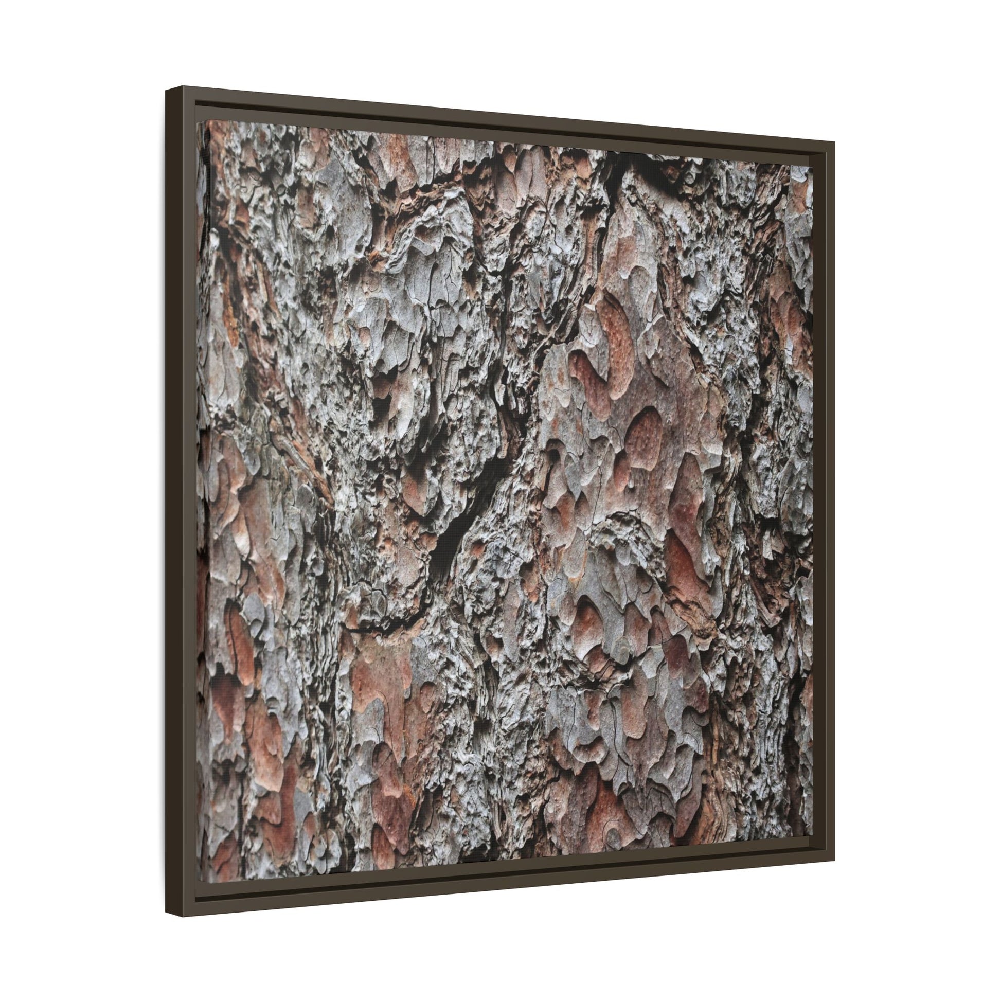 Bark Texture Symphony - Unique Stretched Canvas Wall Art - Art By Earth