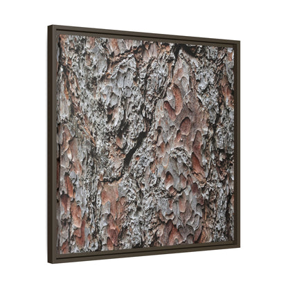 Bark Texture Symphony - Unique Stretched Canvas Wall Art - Art By Earth