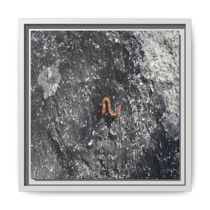 Volcanic Ash and Copper - Unique Stretched Canvas Wall Art - Art By Earth