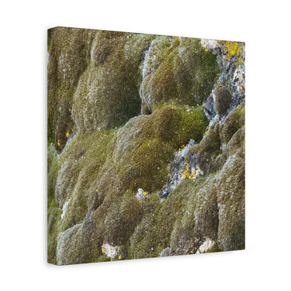 Verdant Stone Symphony - Unique Frameless Canvas Wall Art