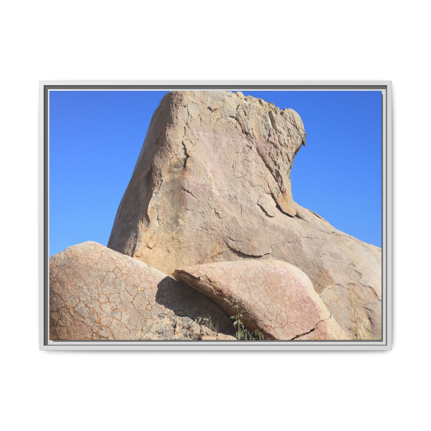 Rocky Sentinel - Unique Stretched Canvas Wall Art - Art By Earth